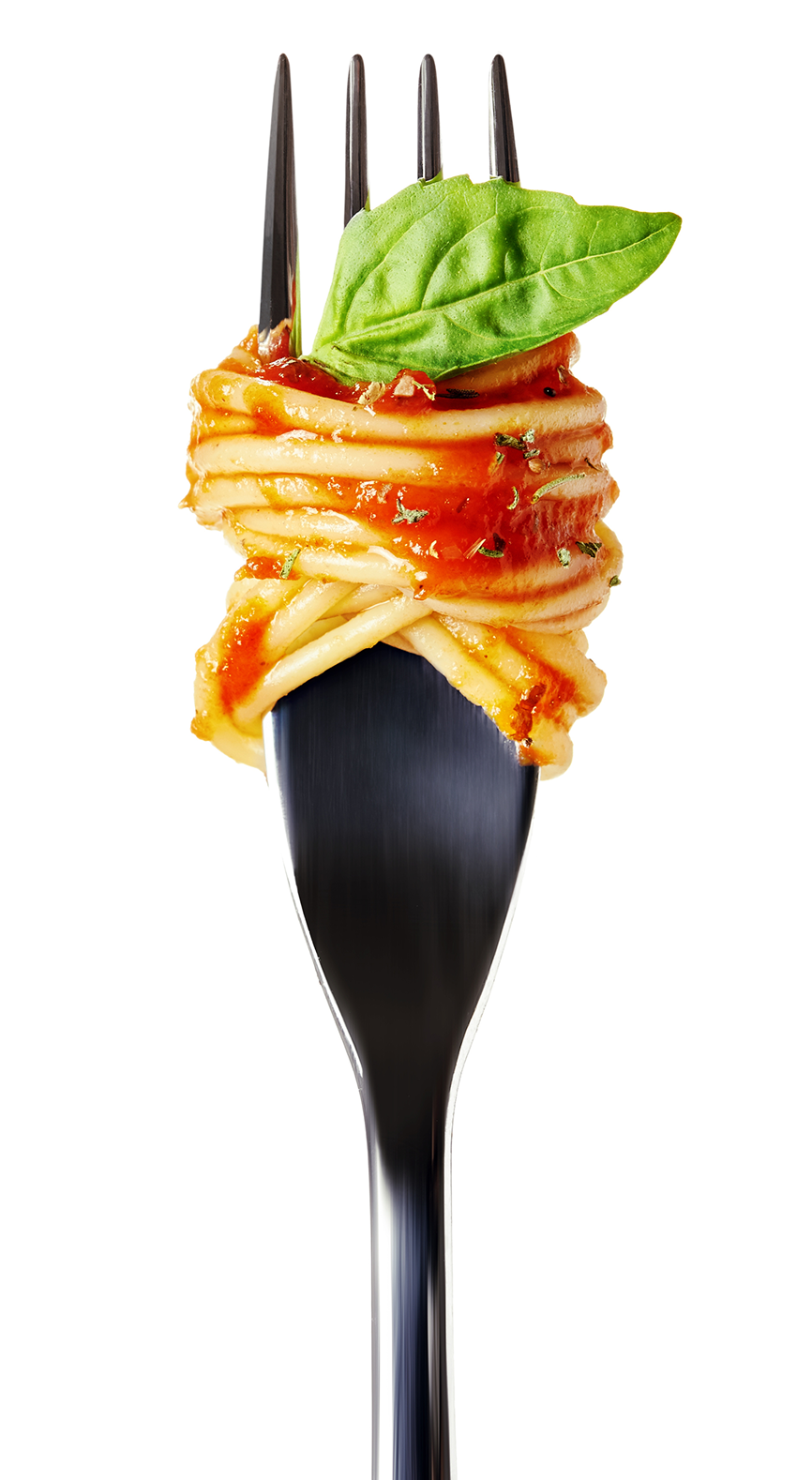Pasta twirled on fork with basil